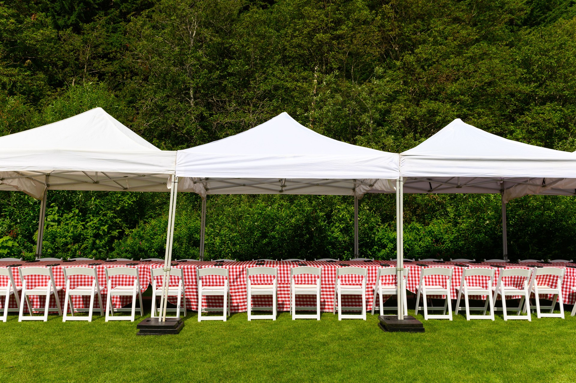 Tent and party rentals for outdoor events